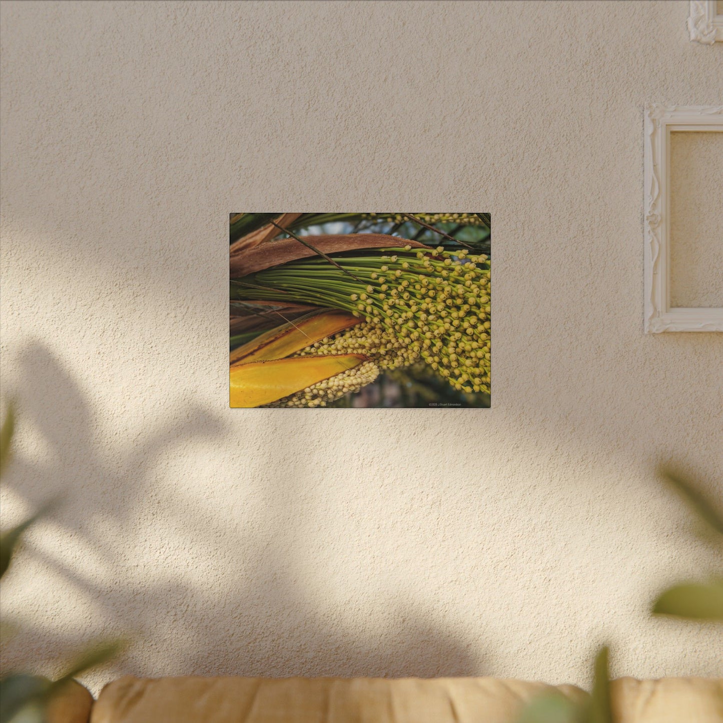 Swamis Vibe Encinitas California JSE Photograph #151. Palm Flowers Vibrant Botanical Canvas Print | Wall Decor, Nature Art, Home Aesthetic, Gift for Plant Lovers, Modern Interior Design