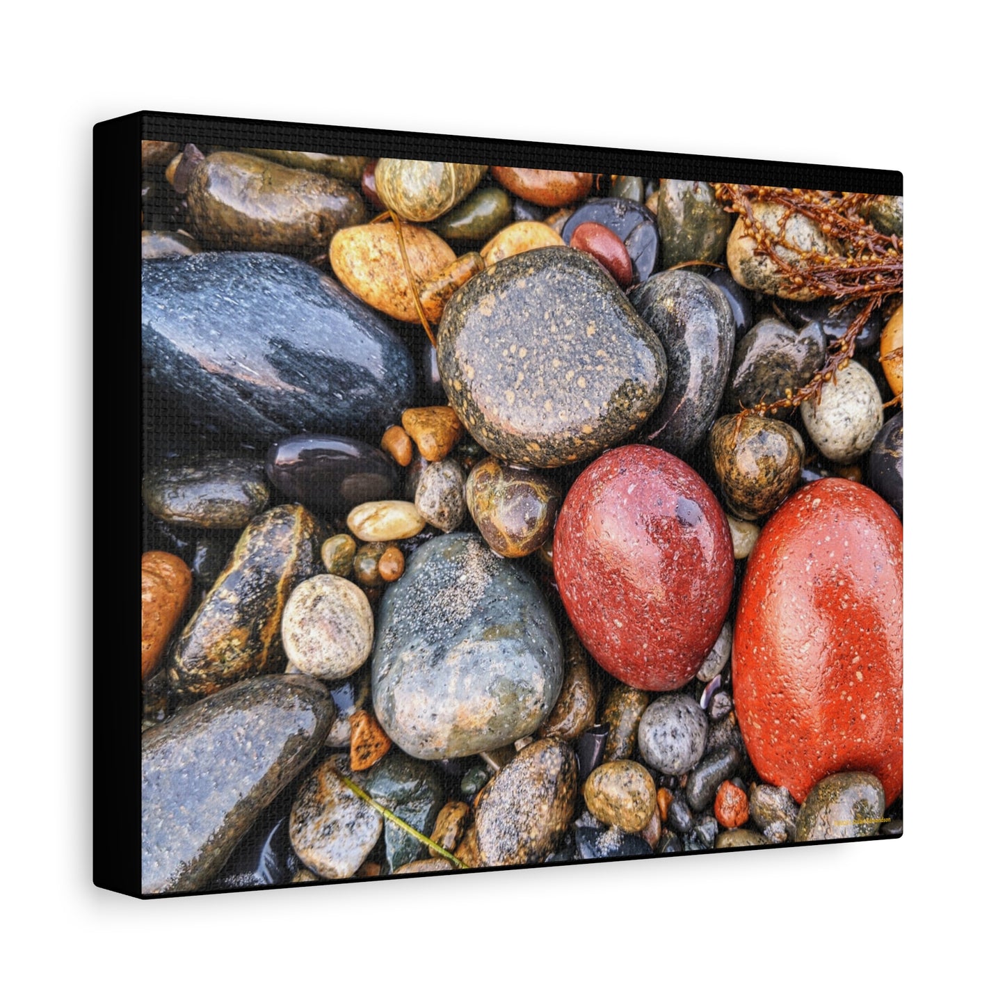 Swamis Vibe Encinitas California JSE Photograph - Beach Rocks Mix #426 Natural Stone Art Canvas, Home Decor, Wall Art, Gift for Nature Lovers, Rustic Aesthetic, Gallery Wrap Print