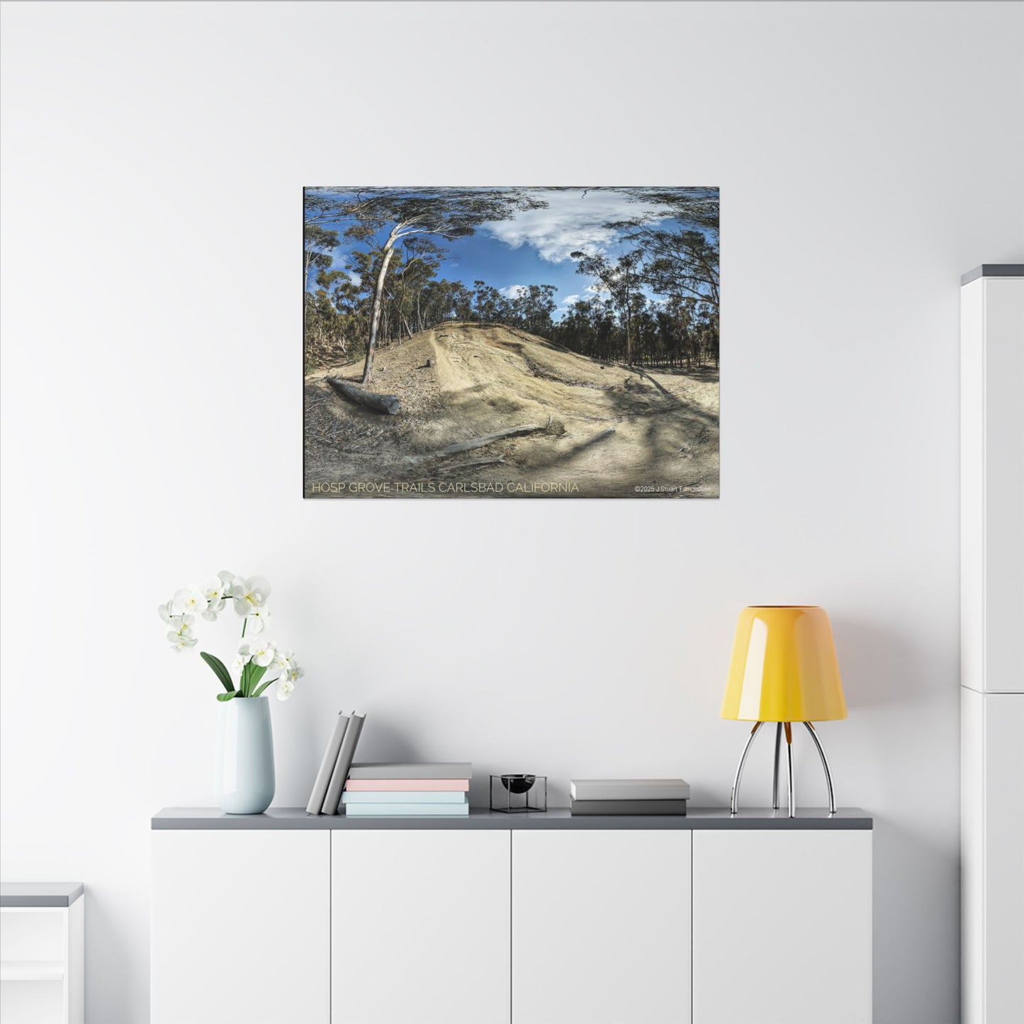 Carlsbad Eucalyptus Mono forest JSE Photograph #524 Hosp Woods Trails Carlsbad California Nature-Inspired Canvas Art