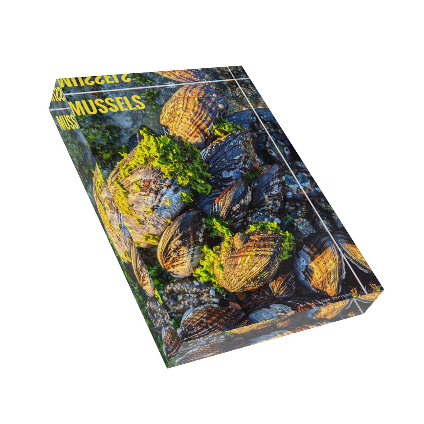 Swamis Vibe Surf and Sunsets Photo Series MUSSELS #1. Solid Acrylic Photo Block