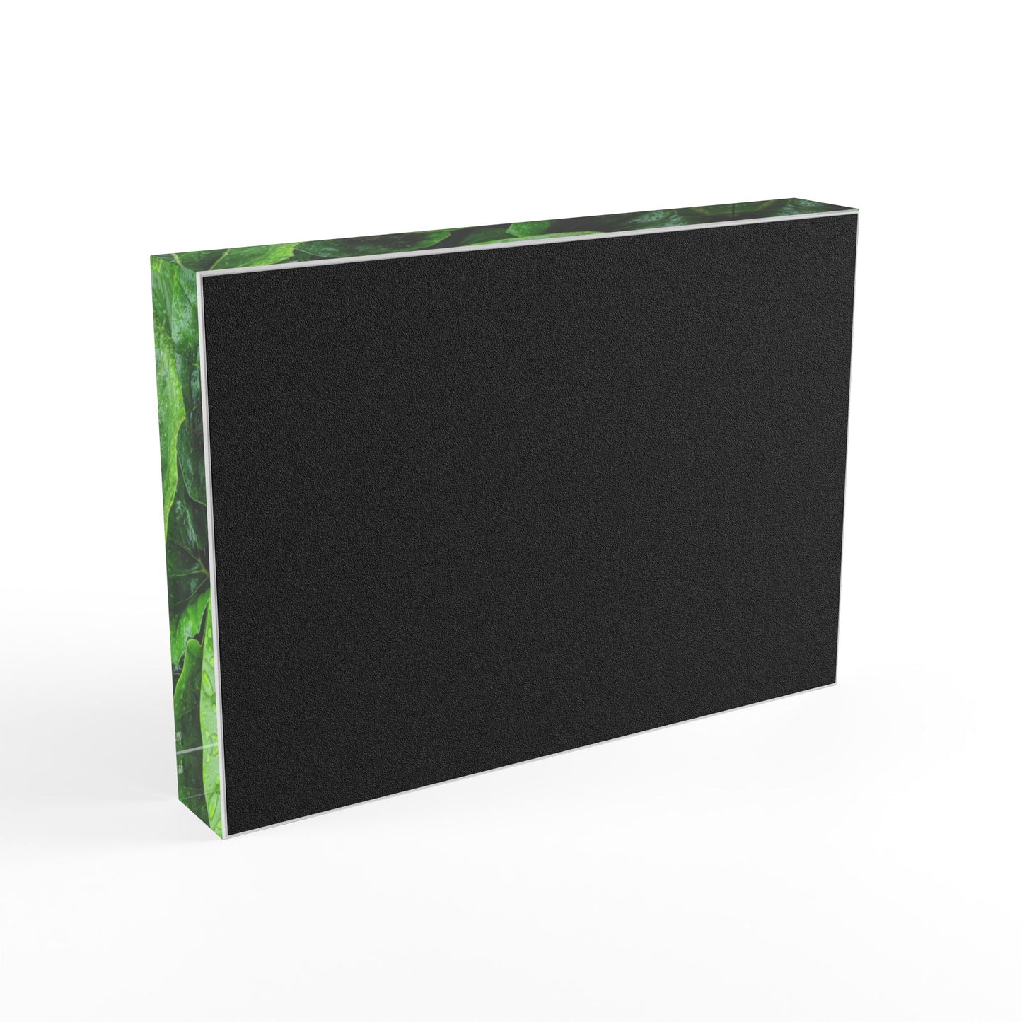 Swamis Vibe Surf and Sunsets Swamis Leopard Plant #1. Lush Greenery Photo Block Display, Nature-Inspired Home Decor, Perfect Gift for Plant Lovers, Eco-Friendly Wall Art, Desk Accessory