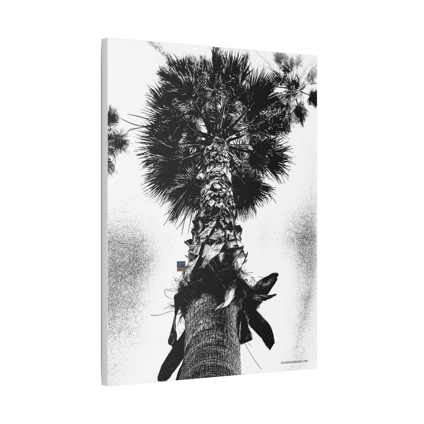 Swamis Vibe Encinitas California JSE Photograph #105 Palm Tree Black and White Palm Tree Canvas Wall Art, Tropical Decor, Botanical Artwork, Modern Home Aesthetic, Gift for Nature Lovers