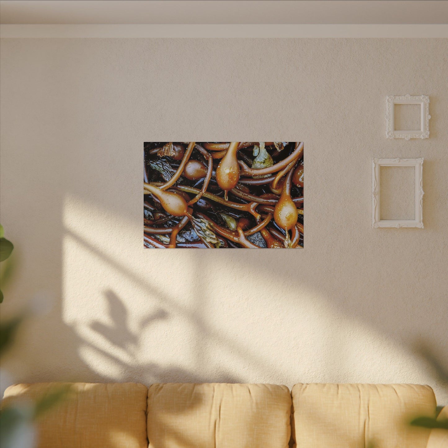 Swamis Vibe Encinitas California JSE Photograph #1244 Sea Kelp Nature Inspired Stretched Canvas Print, Ocean Decor, Wall Art for Beach Lovers, Coastal Home Decor, Unique Gift Idea