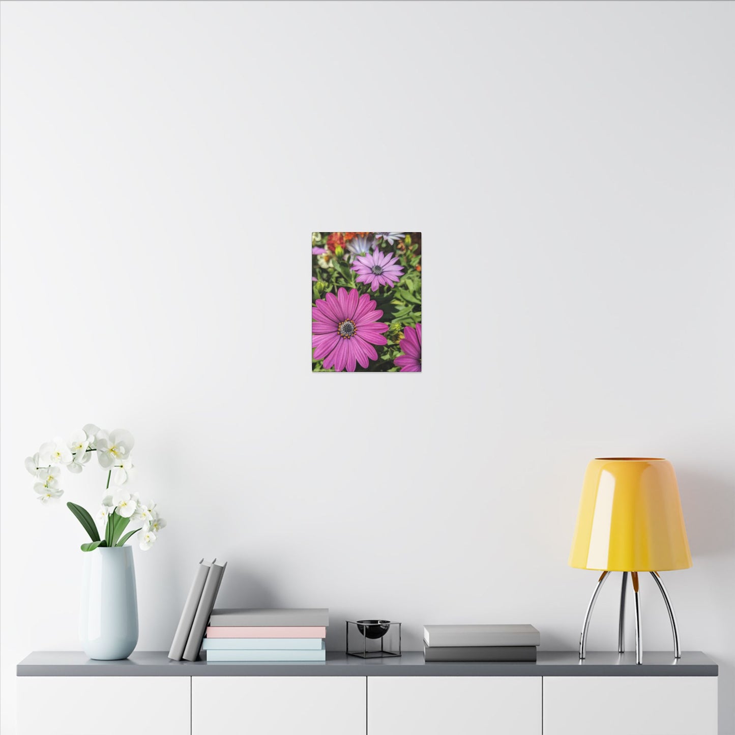 Swamis Vibe Encinitas California JSE Photograph #1127 Lavender African Daisies Encinitas California Floral Canvas Print for Home or Office