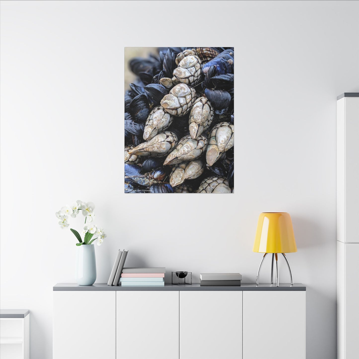 Swamis Vibe Encinitas California JSE Photograph #145 Swamis Reef Barnacles Coastal Themed Canvas Art, Beach Wall Decor, Nautical Home Decor, Ocean-Inspired Artwork, Gifts for Beach Lovers, Coastal Living