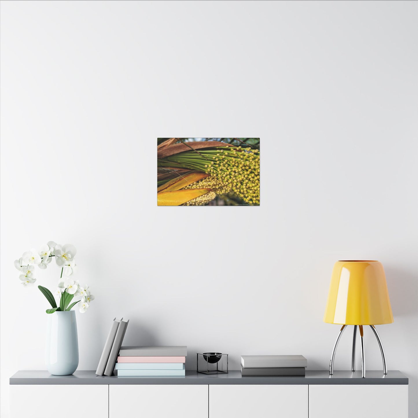 Swamis Vibe Encinitas California JSE Photograph #151. Palm Flowers Vibrant Botanical Canvas Print | Wall Decor, Nature Art, Home Aesthetic, Gift for Plant Lovers, Modern Interior Design