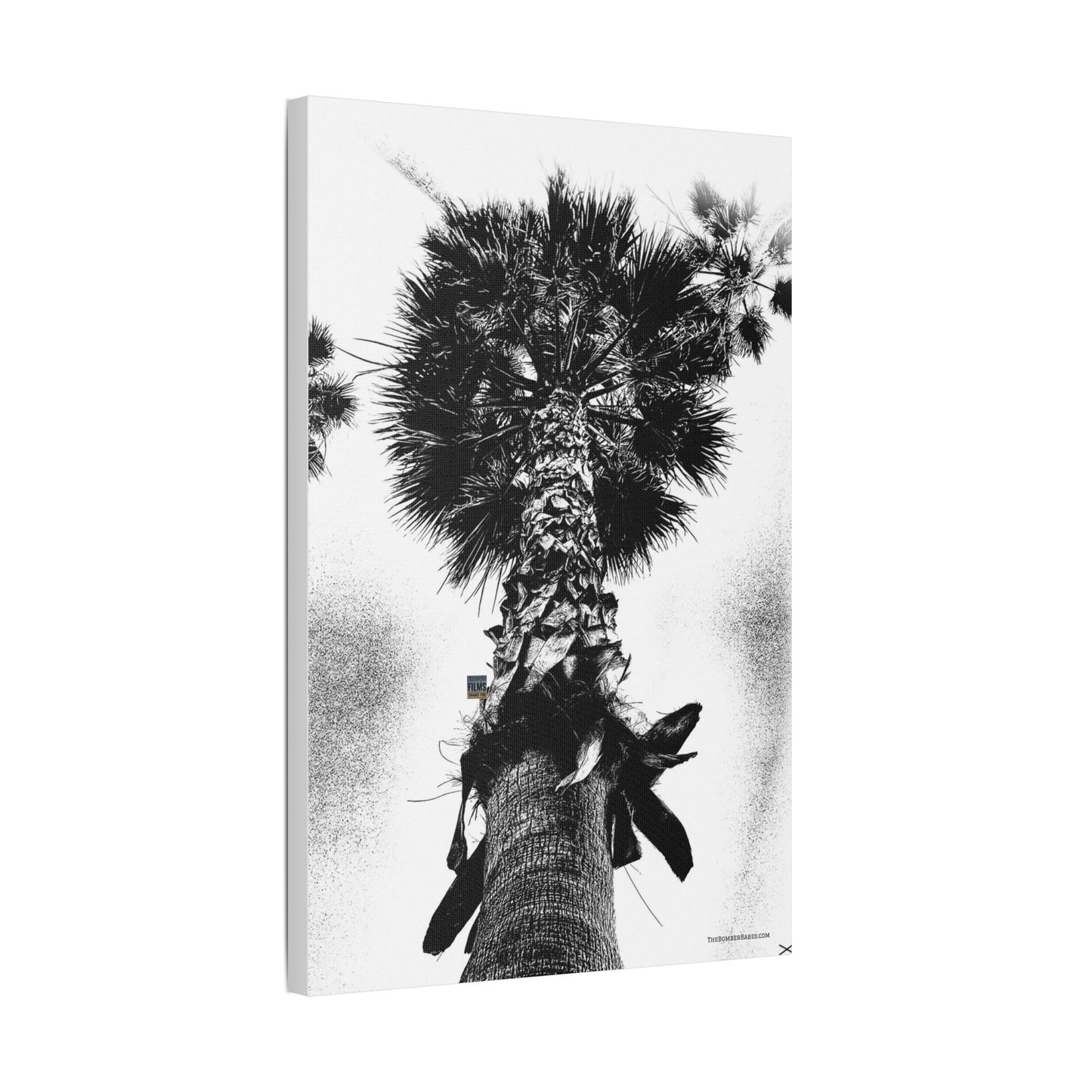 Swamis Vibe Encinitas California JSE Photograph #105 Palm Tree Black and White Palm Tree Canvas Wall Art, Tropical Decor, Botanical Artwork, Modern Home Aesthetic, Gift for Nature Lovers