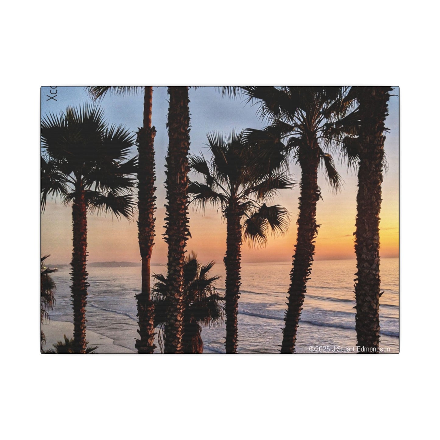 Swamis Vibe Encinitas California JSE Photograph #417 Swamis Park Palm Grove Coastal Sunset Canvas Print, Beach Wall Art, Home Decor, Coastal Decor, Ocean Landscape, Gift for Beach Lovers