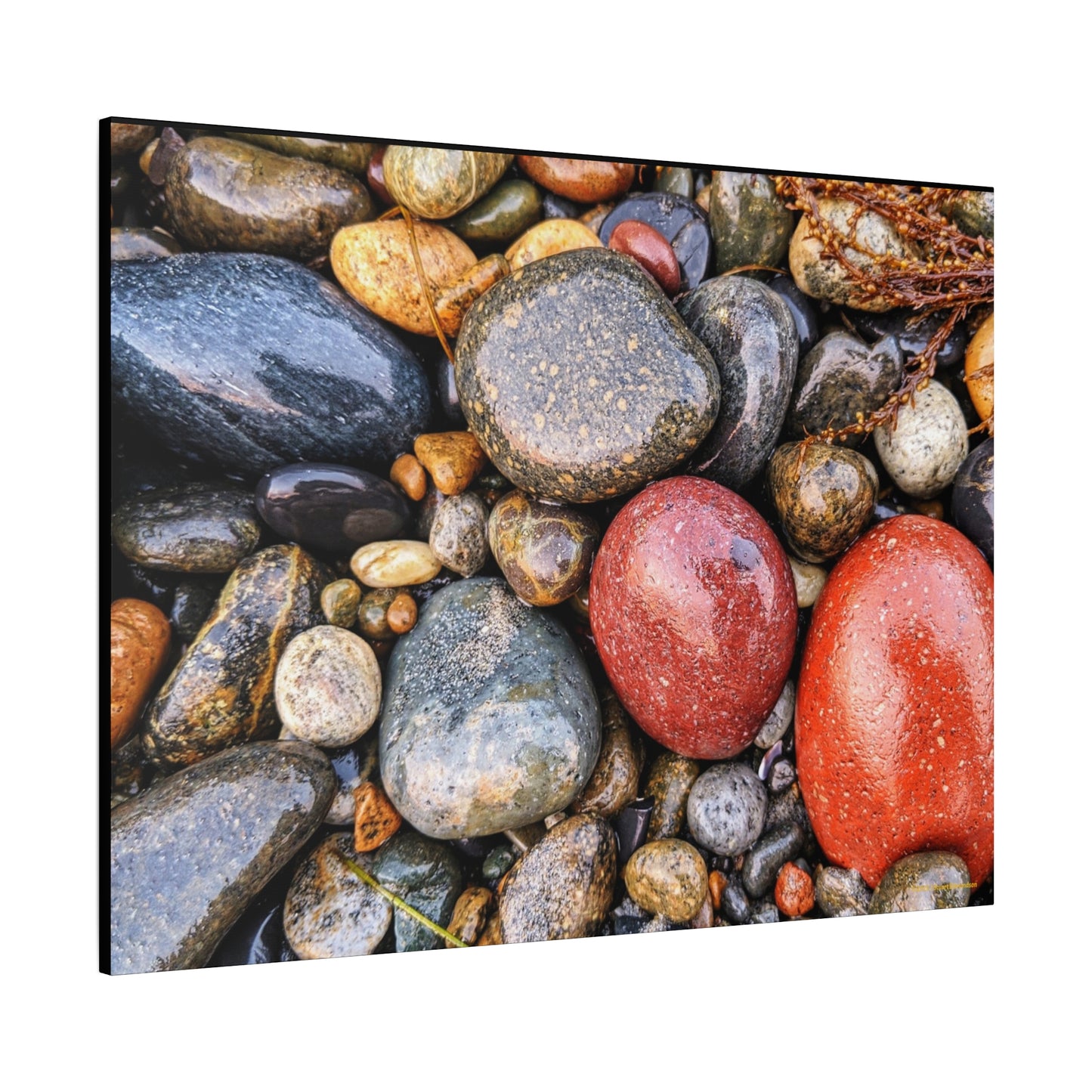 Swamis Vibe Encinitas California JSE Photograph - Beach Rocks Mix #426 Natural Stone Art Canvas, Home Decor, Wall Art, Gift for Nature Lovers, Rustic Aesthetic, Gallery Wrap Print