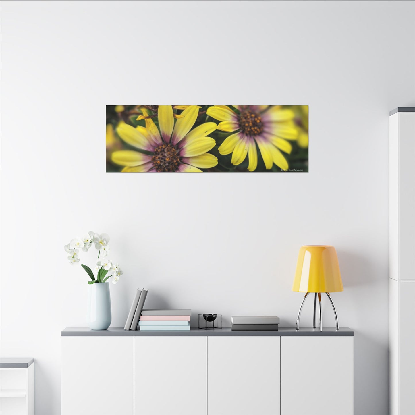 Swamis Vibe Encinitas California JSE Photograph #207 African Daisies at Swamis Floral Wall Art Print, Home Decor, Nature Artwork, Bright Flower Canvas, Gift for Garden Lovers, Spring Decoration