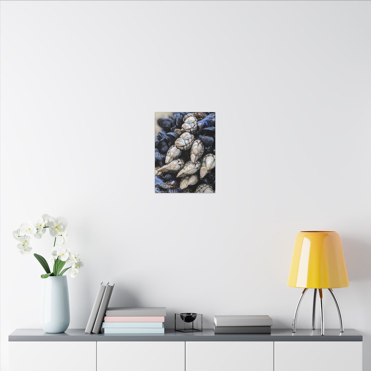 Swamis Vibe Encinitas California JSE Photograph #145 Swamis Reef Barnacles Coastal Themed Canvas Art, Beach Wall Decor, Nautical Home Decor, Ocean-Inspired Artwork, Gifts for Beach Lovers, Coastal Living