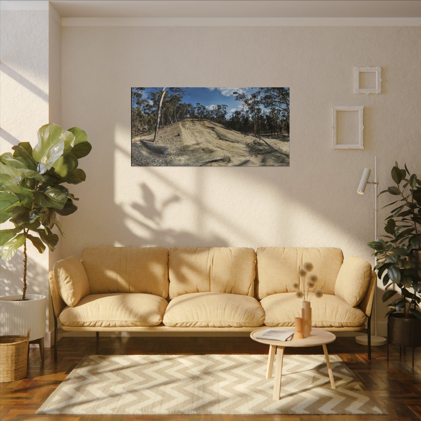 Carlsbad Eucalyptus Mono forest JSE Photograph #524 Hosp Woods Trails Carlsbad California Nature-Inspired Canvas Art