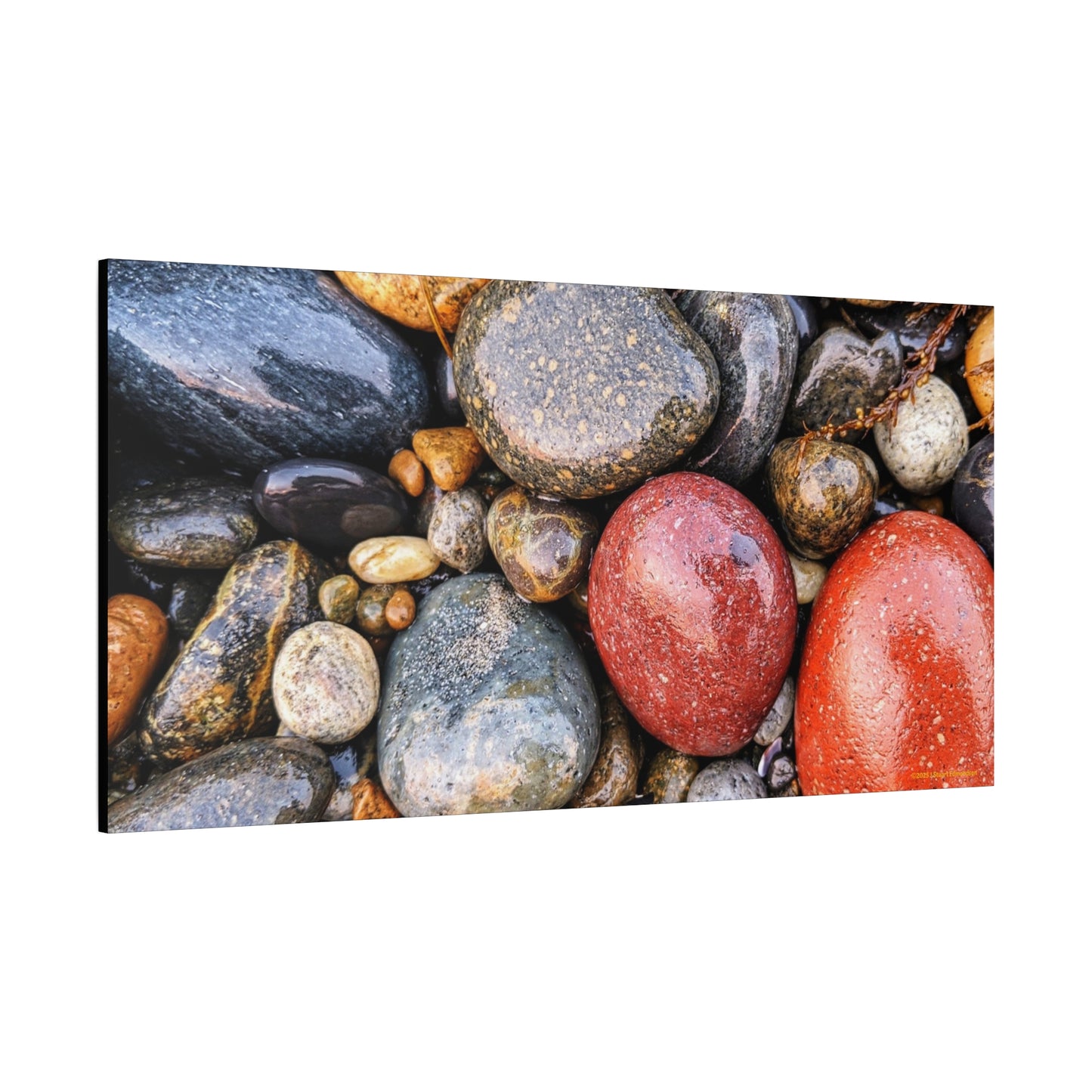 Swamis Vibe Encinitas California JSE Photograph - Beach Rocks Mix #426 Natural Stone Art Canvas, Home Decor, Wall Art, Gift for Nature Lovers, Rustic Aesthetic, Gallery Wrap Print