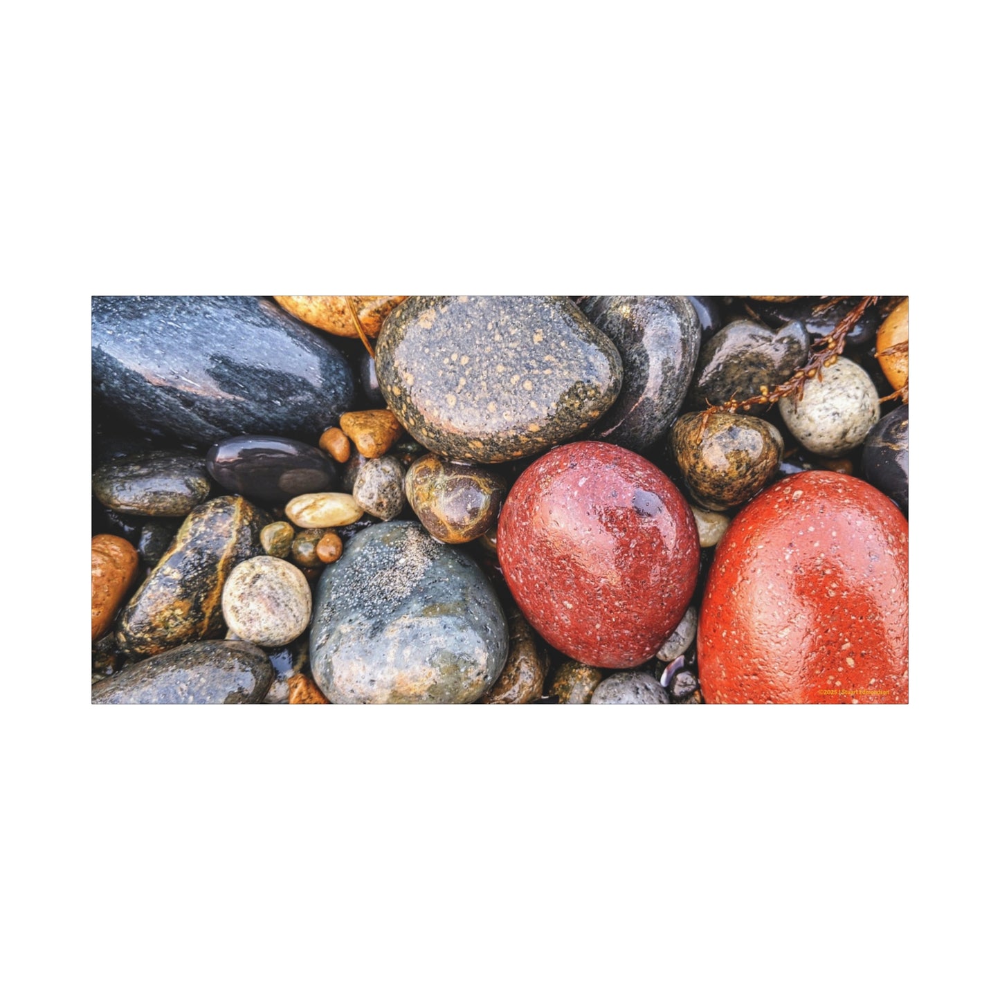 Swamis Vibe Encinitas California JSE Photograph - Beach Rocks Mix #426 Natural Stone Art Canvas, Home Decor, Wall Art, Gift for Nature Lovers, Rustic Aesthetic, Gallery Wrap Print