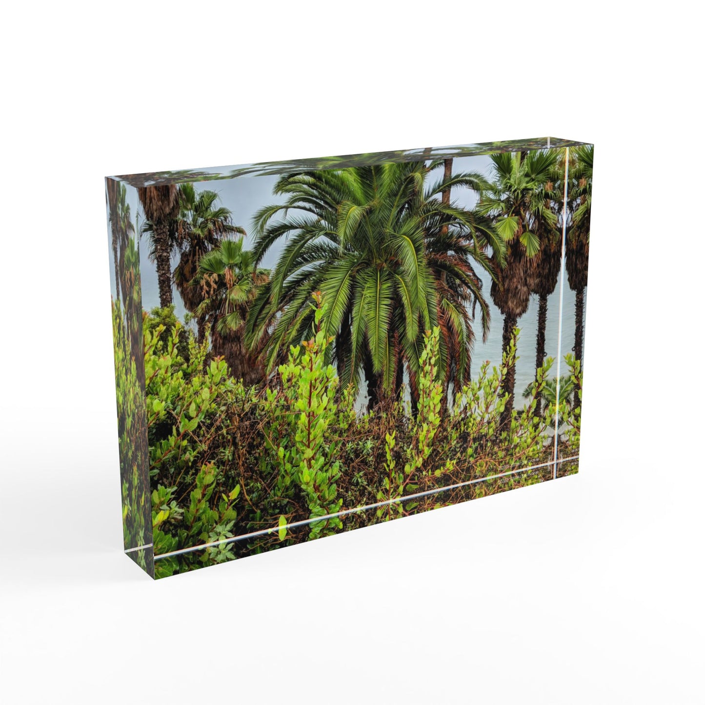 Swamis Vibe Surf and Sunsets Swamis Photo Block #225 Palm Grove Tropical Photo Block Display, Decorative Home Decor, Personalized Gift, Unique Wall Art, Perfect for Nature Lovers