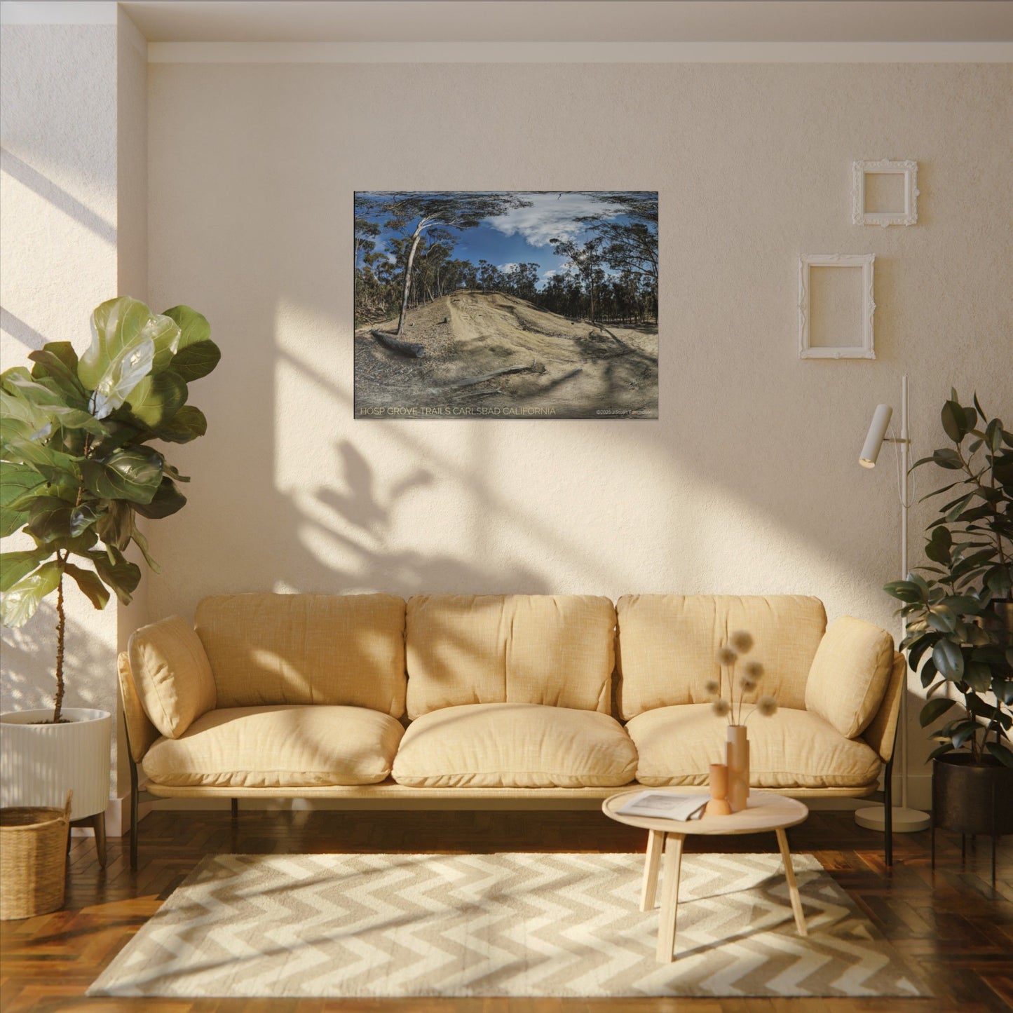 Carlsbad Eucalyptus Mono forest JSE Photograph #524 Hosp Woods Trails Carlsbad California Nature-Inspired Canvas Art