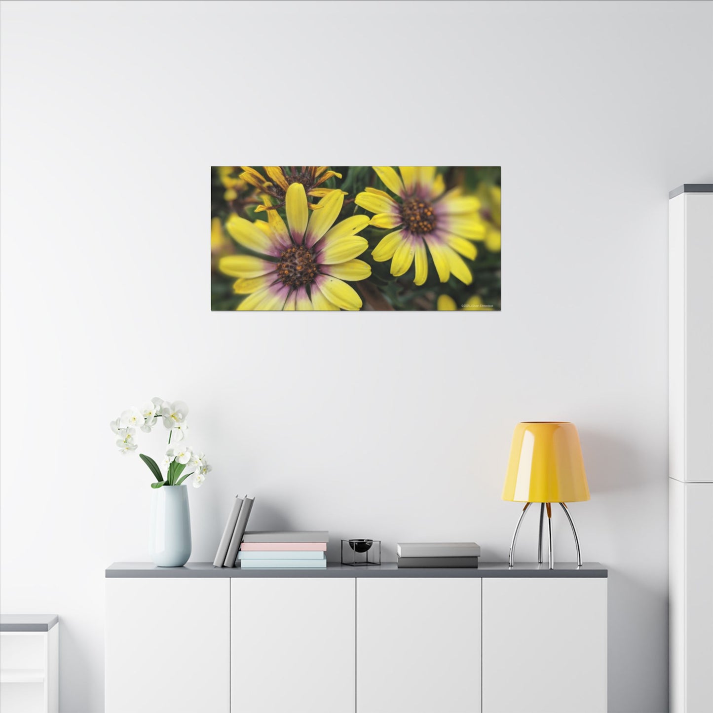 Swamis Vibe Encinitas California JSE Photograph #207 African Daisies at Swamis Floral Wall Art Print, Home Decor, Nature Artwork, Bright Flower Canvas, Gift for Garden Lovers, Spring Decoration