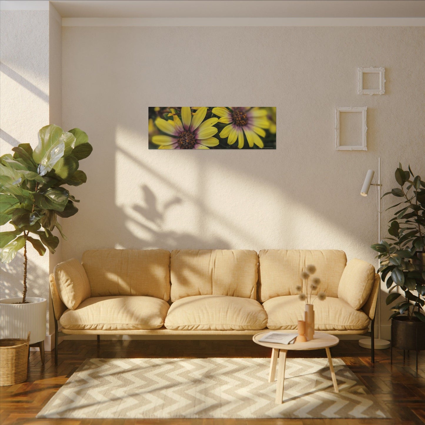 Swamis Vibe Encinitas California JSE Photograph #207 African Daisies at Swamis Floral Wall Art Print, Home Decor, Nature Artwork, Bright Flower Canvas, Gift for Garden Lovers, Spring Decoration