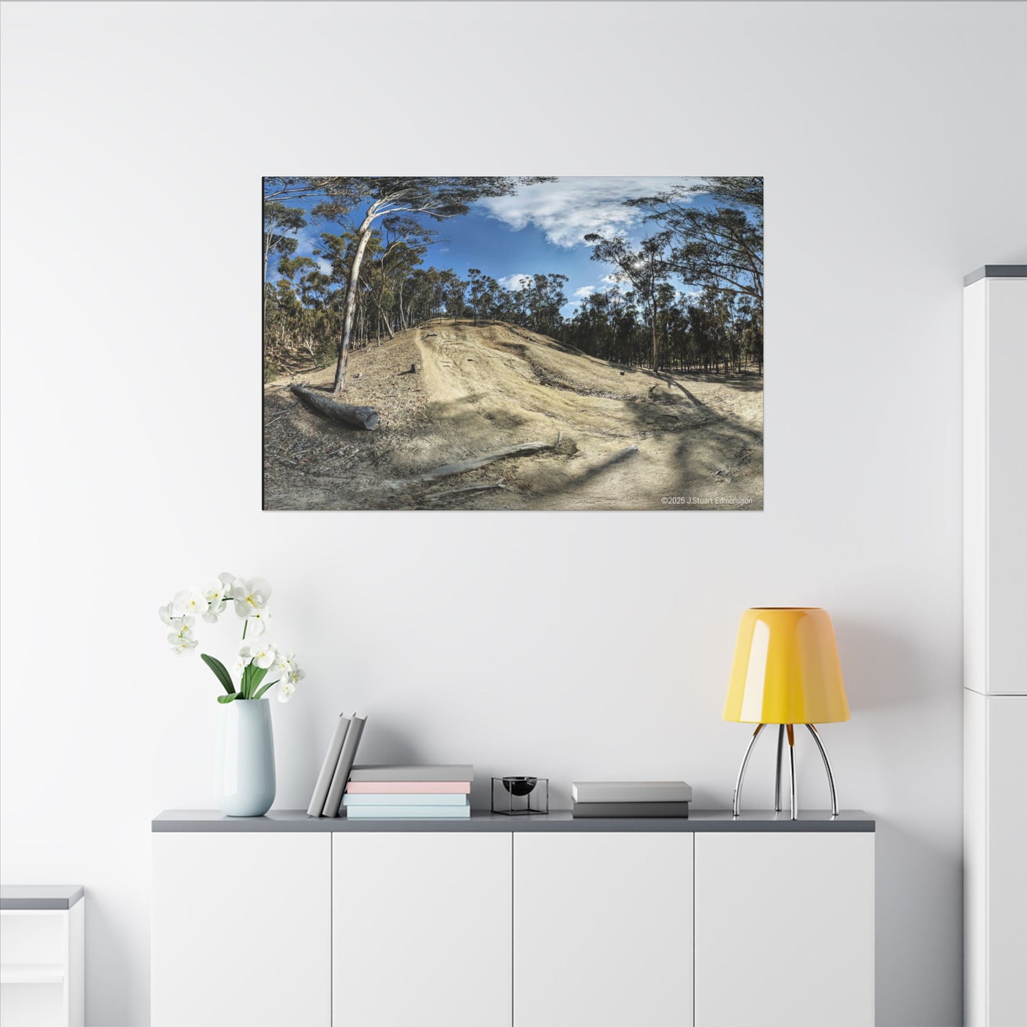 Carlsbad Eucalyptus Mono forest JSE Photograph #524 Hosp Woods Trails Carlsbad California Nature-Inspired Canvas Art