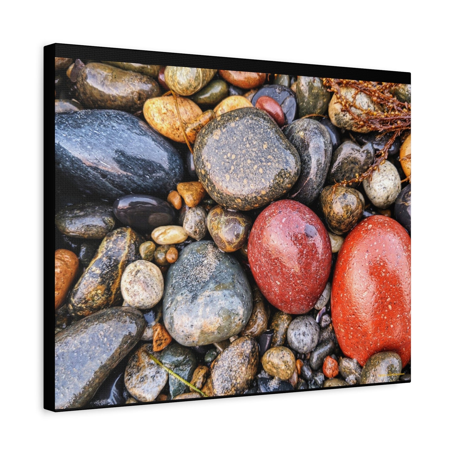 Swamis Vibe Encinitas California JSE Photograph - Beach Rocks Mix #426 Natural Stone Art Canvas, Home Decor, Wall Art, Gift for Nature Lovers, Rustic Aesthetic, Gallery Wrap Print
