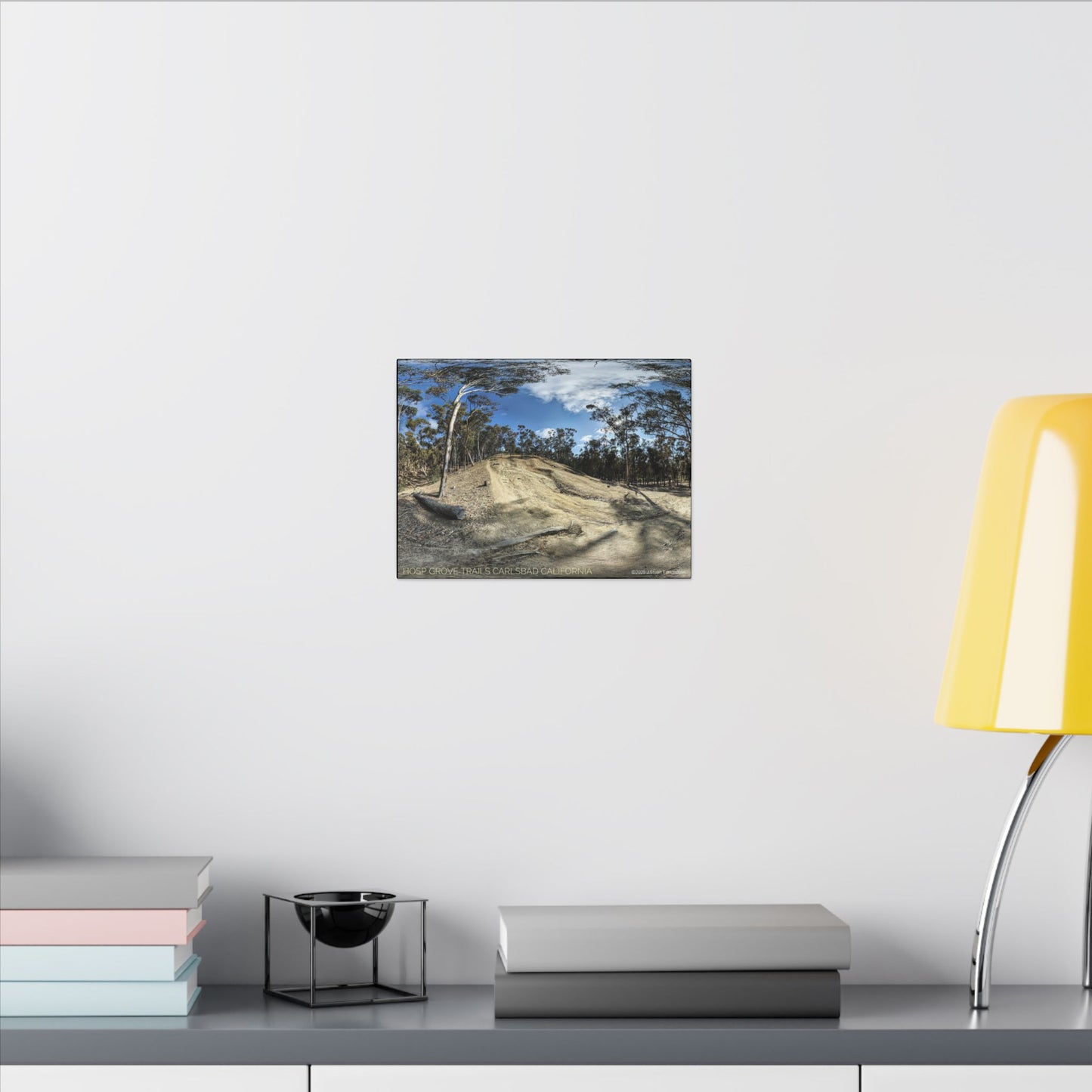 Carlsbad Eucalyptus Mono forest JSE Photograph #524 Hosp Woods Trails Carlsbad California Nature-Inspired Canvas Art