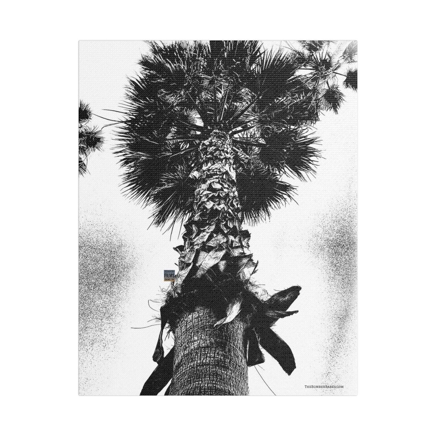 Swamis Vibe Encinitas California JSE Photograph #105 Palm Tree Black and White Palm Tree Canvas Wall Art, Tropical Decor, Botanical Artwork, Modern Home Aesthetic, Gift for Nature Lovers