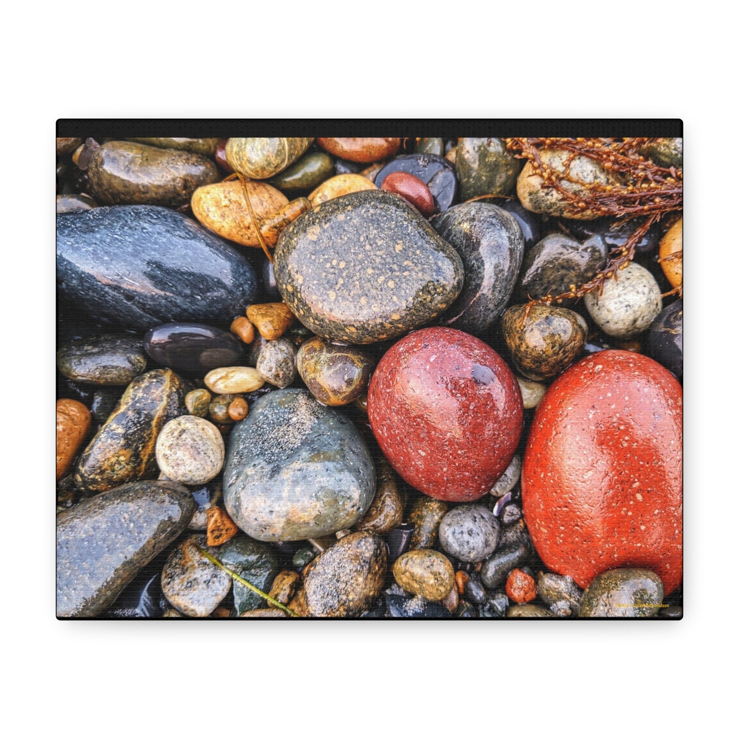 Swamis Vibe Encinitas California JSE Photograph - Beach Rocks Mix #426 Natural Stone Art Canvas, Home Decor, Wall Art, Gift for Nature Lovers, Rustic Aesthetic, Gallery Wrap Print