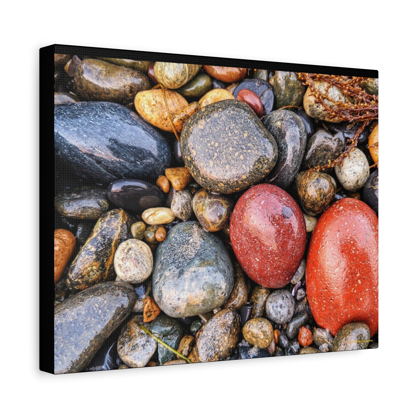 Swamis Vibe Encinitas California JSE Photograph - Beach Rocks Mix #426 Natural Stone Art Canvas, Home Decor, Wall Art, Gift for Nature Lovers, Rustic Aesthetic, Gallery Wrap Print