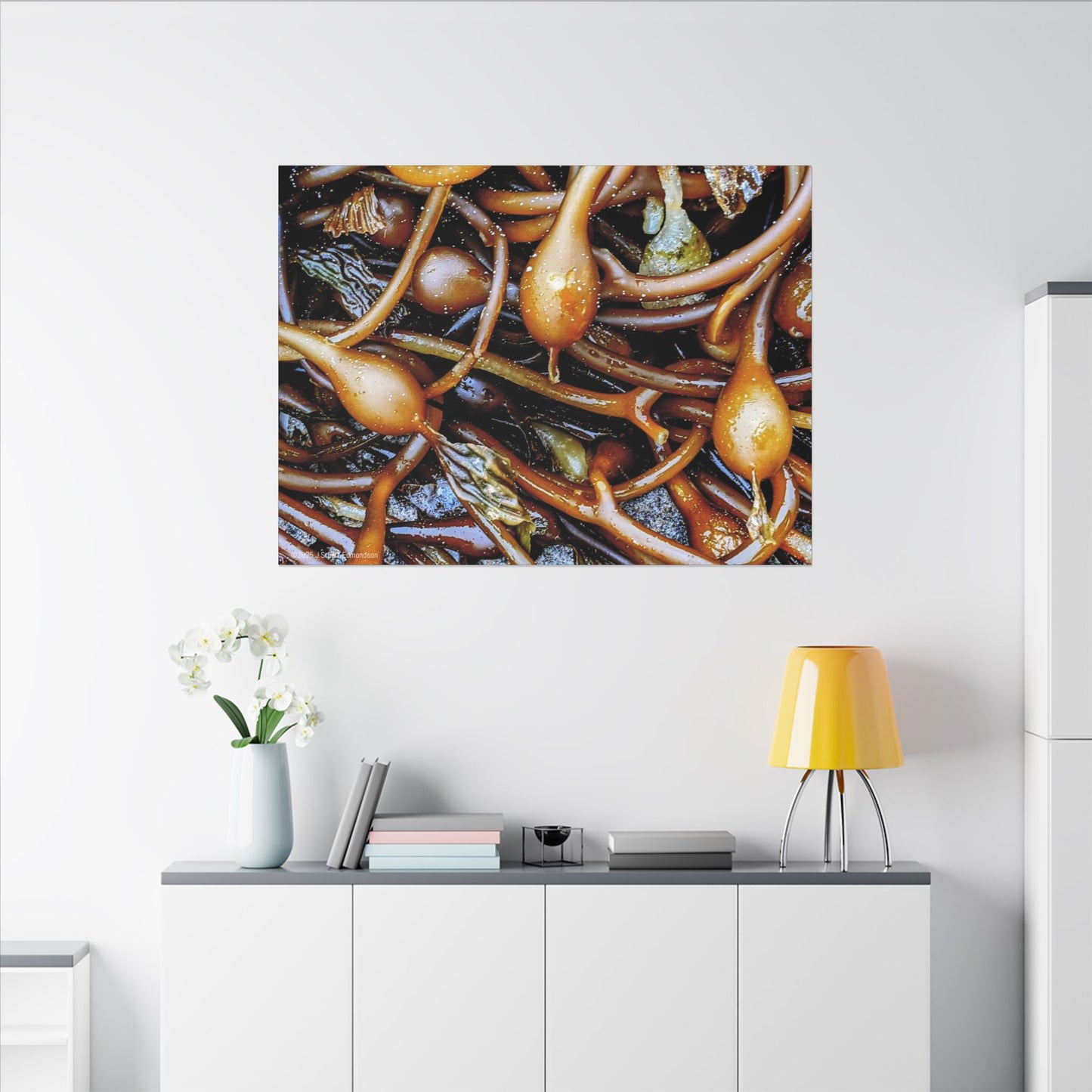 Swamis Vibe Encinitas California JSE Photograph #1244 Sea Kelp Nature Inspired Stretched Canvas Print, Ocean Decor, Wall Art for Beach Lovers, Coastal Home Decor, Unique Gift Idea