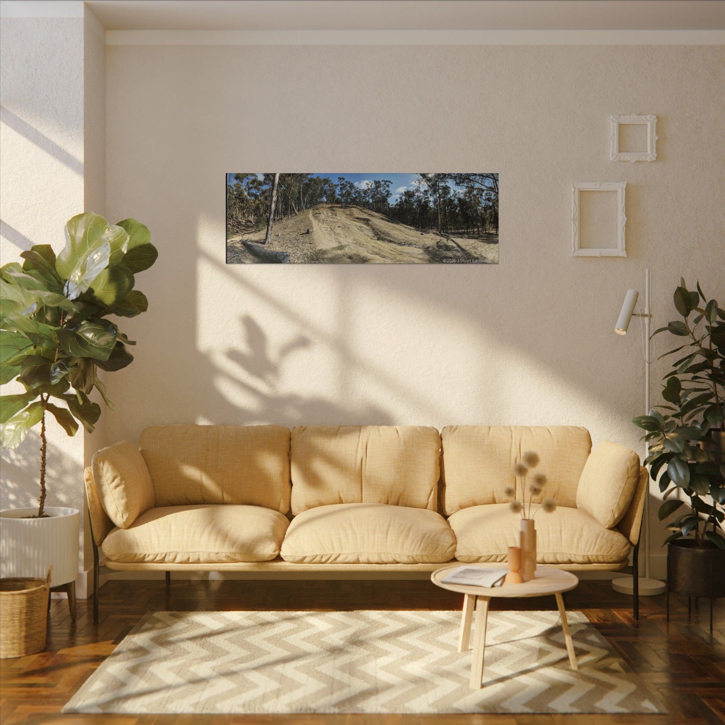 Carlsbad Eucalyptus Mono forest JSE Photograph #524 Hosp Woods Trails Carlsbad California Nature-Inspired Canvas Art