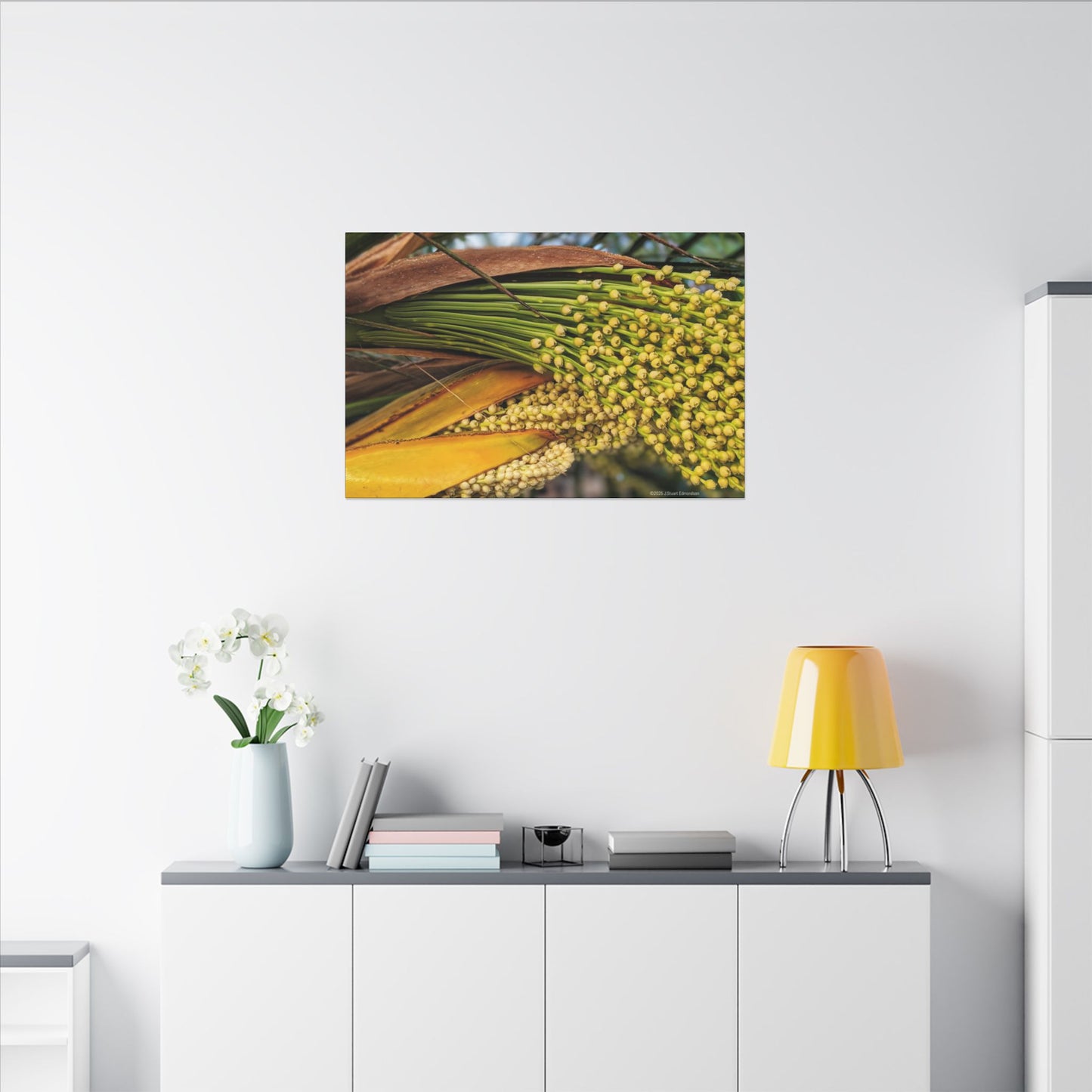 Swamis Vibe Encinitas California JSE Photograph #151. Palm Flowers Vibrant Botanical Canvas Print | Wall Decor, Nature Art, Home Aesthetic, Gift for Plant Lovers, Modern Interior Design