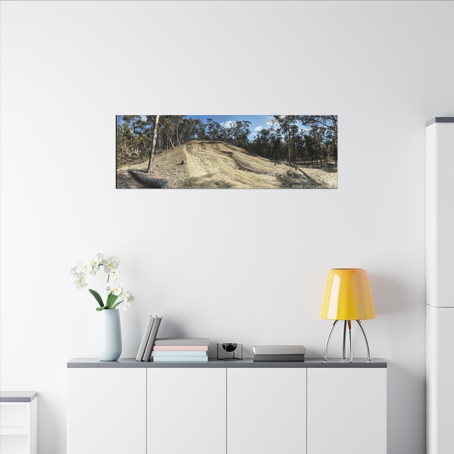 Carlsbad Eucalyptus Mono forest JSE Photograph #524 Hosp Woods Trails Carlsbad California Nature-Inspired Canvas Art