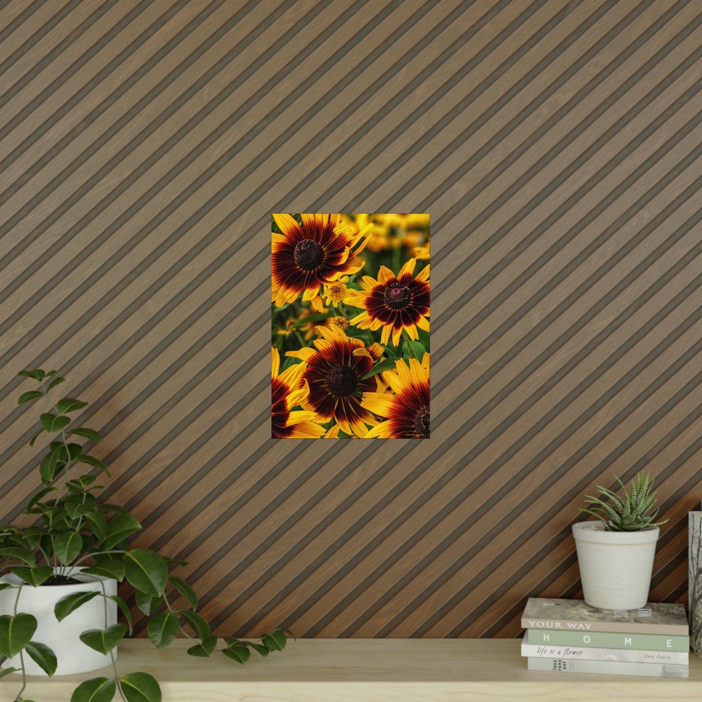 Swamis Vibe Encinitas California JSE Photograph #1246 African Daisies Vibrant Floral Unframed Art Prints, Flower Portraits, Home Décor, Wall Art, Gift Idea for Plant Lovers, Nature Decor, Botanical Posters