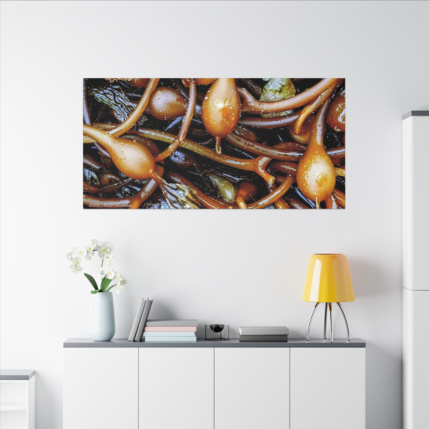 Swamis Vibe Encinitas California JSE Photograph #1244 Sea Kelp Nature Inspired Stretched Canvas Print, Ocean Decor, Wall Art for Beach Lovers, Coastal Home Decor, Unique Gift Idea