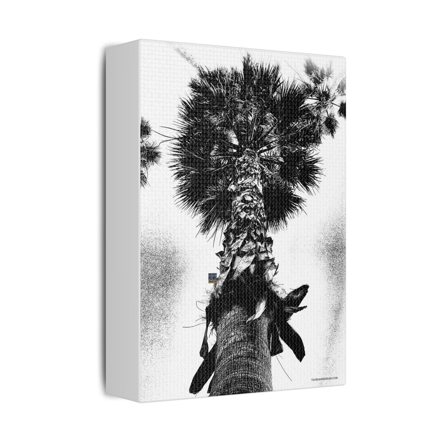 Swamis Vibe Encinitas California JSE Photograph #105 Palm Tree Black and White Palm Tree Canvas Wall Art, Tropical Decor, Botanical Artwork, Modern Home Aesthetic, Gift for Nature Lovers