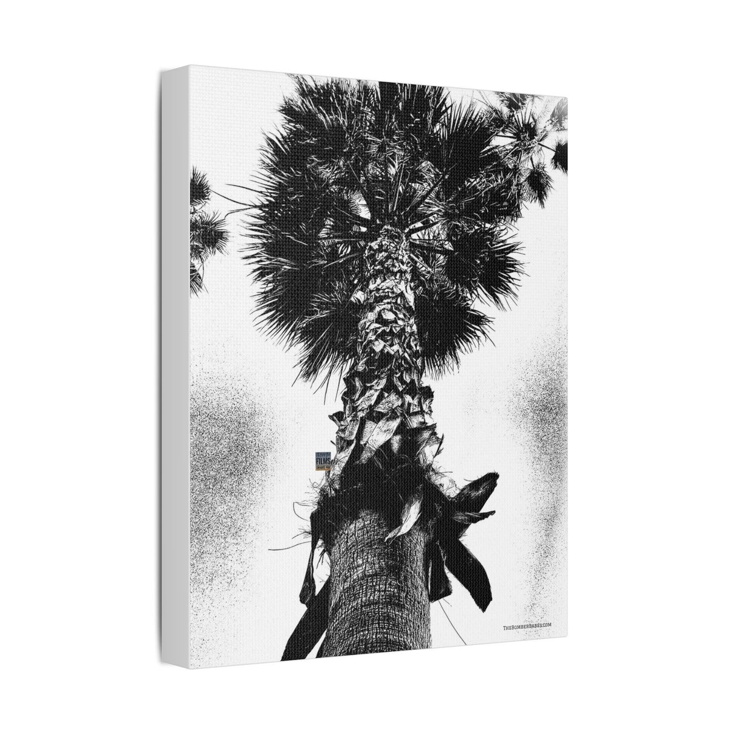 Swamis Vibe Encinitas California JSE Photograph #105 Palm Tree Black and White Palm Tree Canvas Wall Art, Tropical Decor, Botanical Artwork, Modern Home Aesthetic, Gift for Nature Lovers