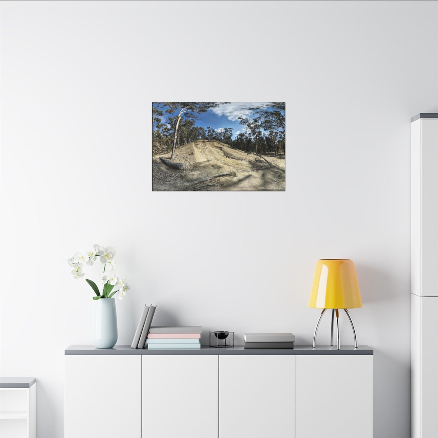 Carlsbad Eucalyptus Mono forest JSE Photograph #524 Hosp Woods Trails Carlsbad California Nature-Inspired Canvas Art