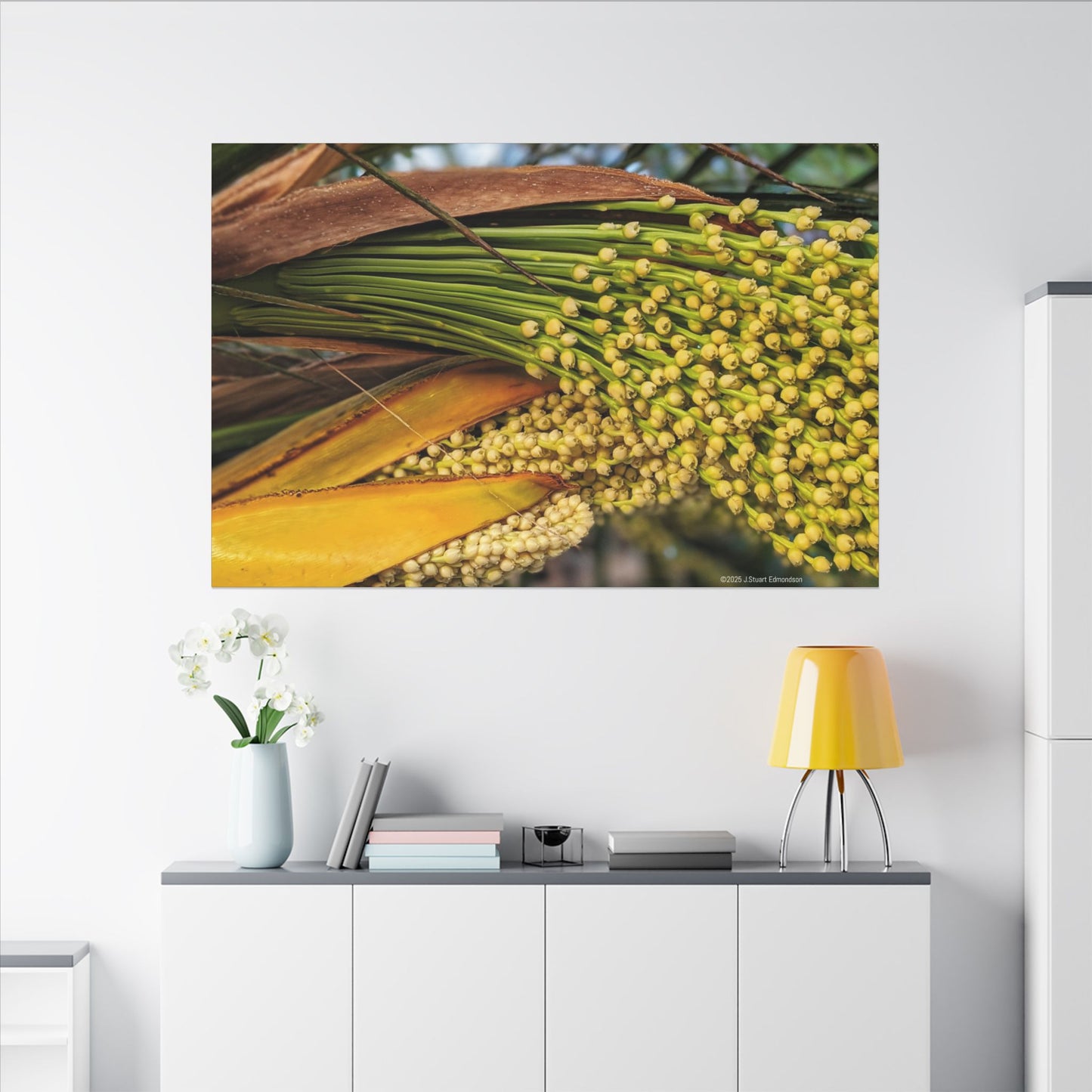 Swamis Vibe Encinitas California JSE Photograph #151. Palm Flowers Vibrant Botanical Canvas Print | Wall Decor, Nature Art, Home Aesthetic, Gift for Plant Lovers, Modern Interior Design