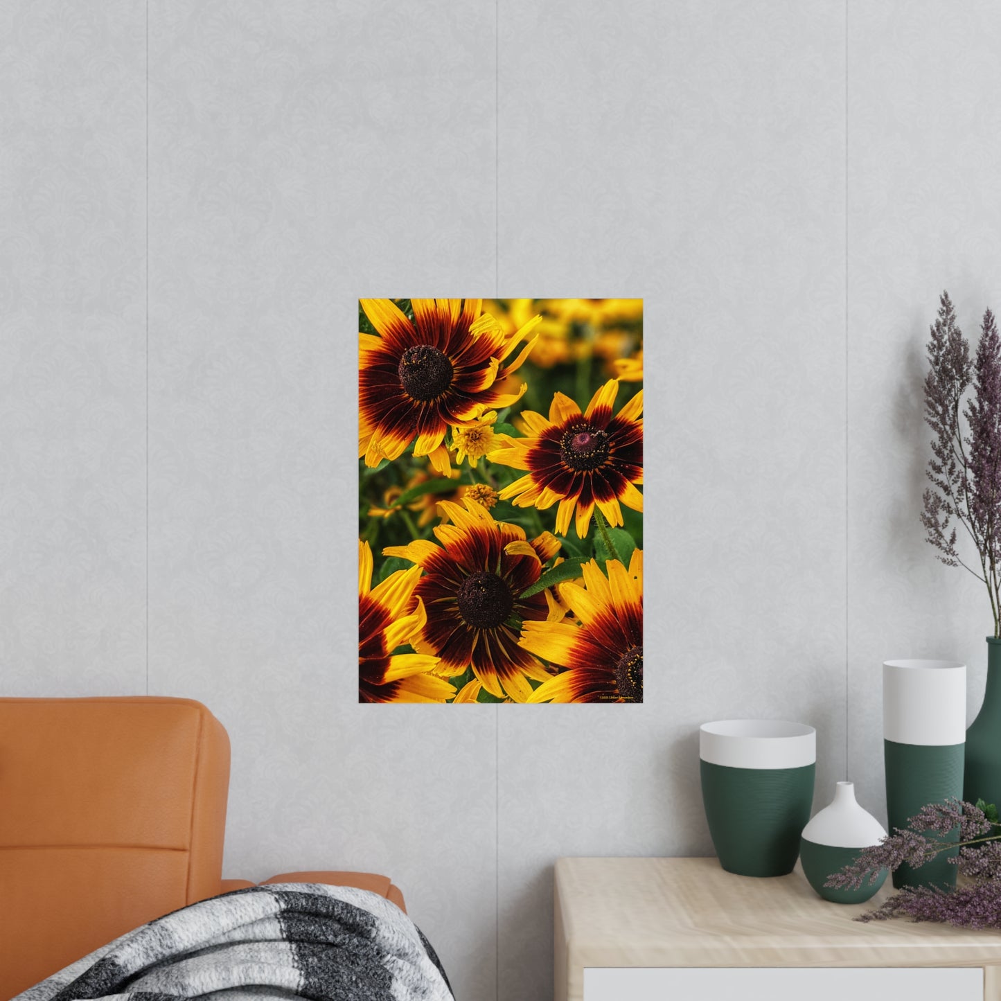 Swamis Vibe Encinitas California JSE Photograph #1246 African Daisies Vibrant Floral Unframed Art Prints, Flower Portraits, Home Décor, Wall Art, Gift Idea for Plant Lovers, Nature Decor, Botanical Posters
