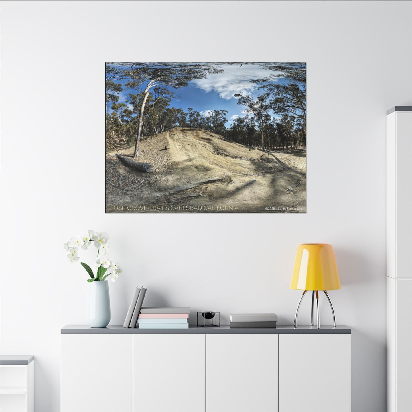Carlsbad Eucalyptus Mono forest JSE Photograph #524 Hosp Woods Trails Carlsbad California Nature-Inspired Canvas Art