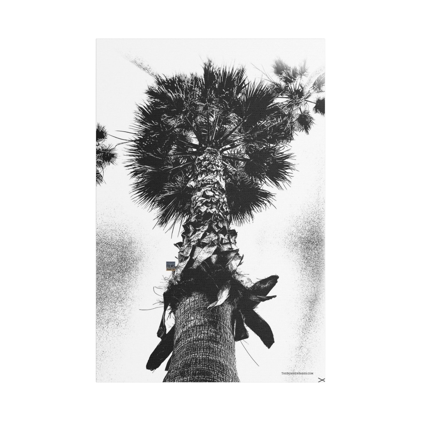 Swamis Vibe Encinitas California JSE Photograph #105 Palm Tree Black and White Palm Tree Canvas Wall Art, Tropical Decor, Botanical Artwork, Modern Home Aesthetic, Gift for Nature Lovers