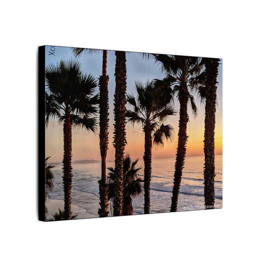 Swamis Vibe Encinitas California JSE Photograph #417 Swamis Park Palm Grove Coastal Sunset Canvas Print, Beach Wall Art, Home Decor, Coastal Decor, Ocean Landscape, Gift for Beach Lovers
