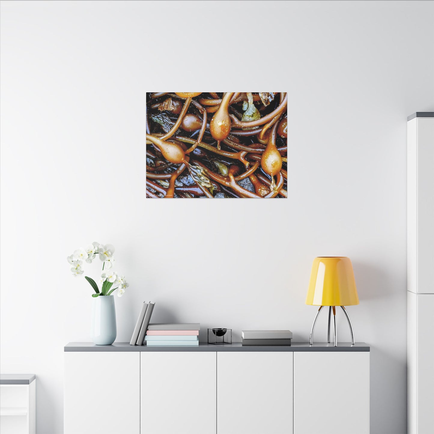 Swamis Vibe Encinitas California JSE Photograph #1244 Sea Kelp Nature Inspired Stretched Canvas Print, Ocean Decor, Wall Art for Beach Lovers, Coastal Home Decor, Unique Gift Idea