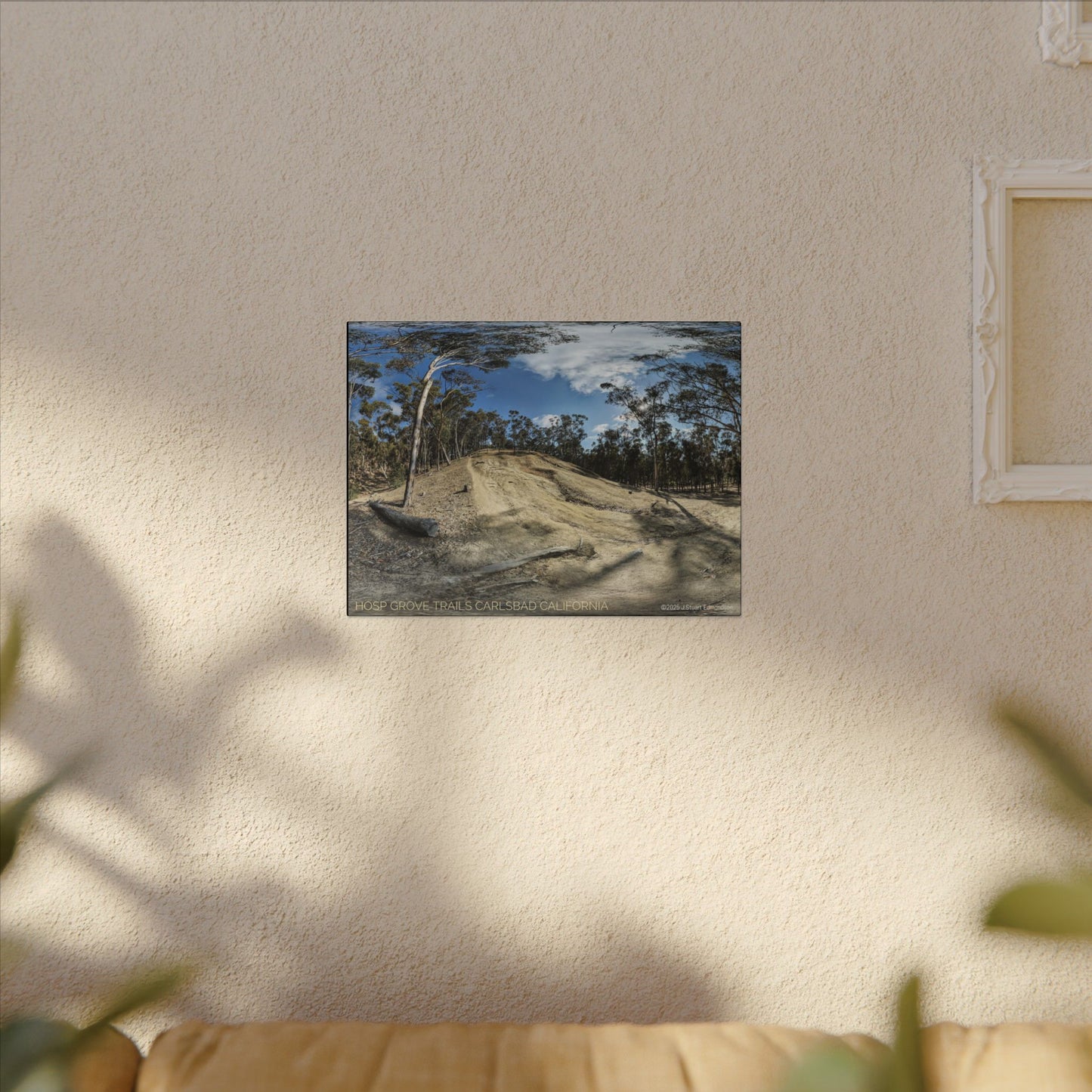 Carlsbad Eucalyptus Mono forest JSE Photograph #524 Hosp Woods Trails Carlsbad California Nature-Inspired Canvas Art