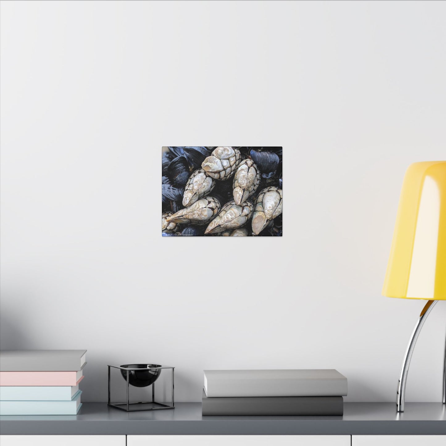 Swamis Vibe Encinitas California JSE Photograph #145 Swamis Reef Barnacles Coastal Themed Canvas Art, Beach Wall Decor, Nautical Home Decor, Ocean-Inspired Artwork, Gifts for Beach Lovers, Coastal Living