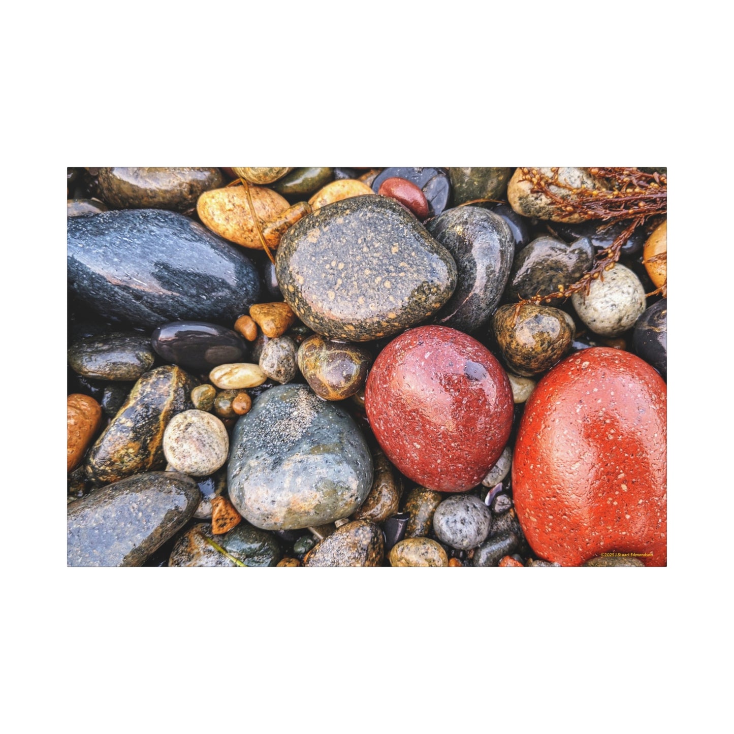 Swamis Vibe Encinitas California JSE Photograph - Beach Rocks Mix #426 Natural Stone Art Canvas, Home Decor, Wall Art, Gift for Nature Lovers, Rustic Aesthetic, Gallery Wrap Print