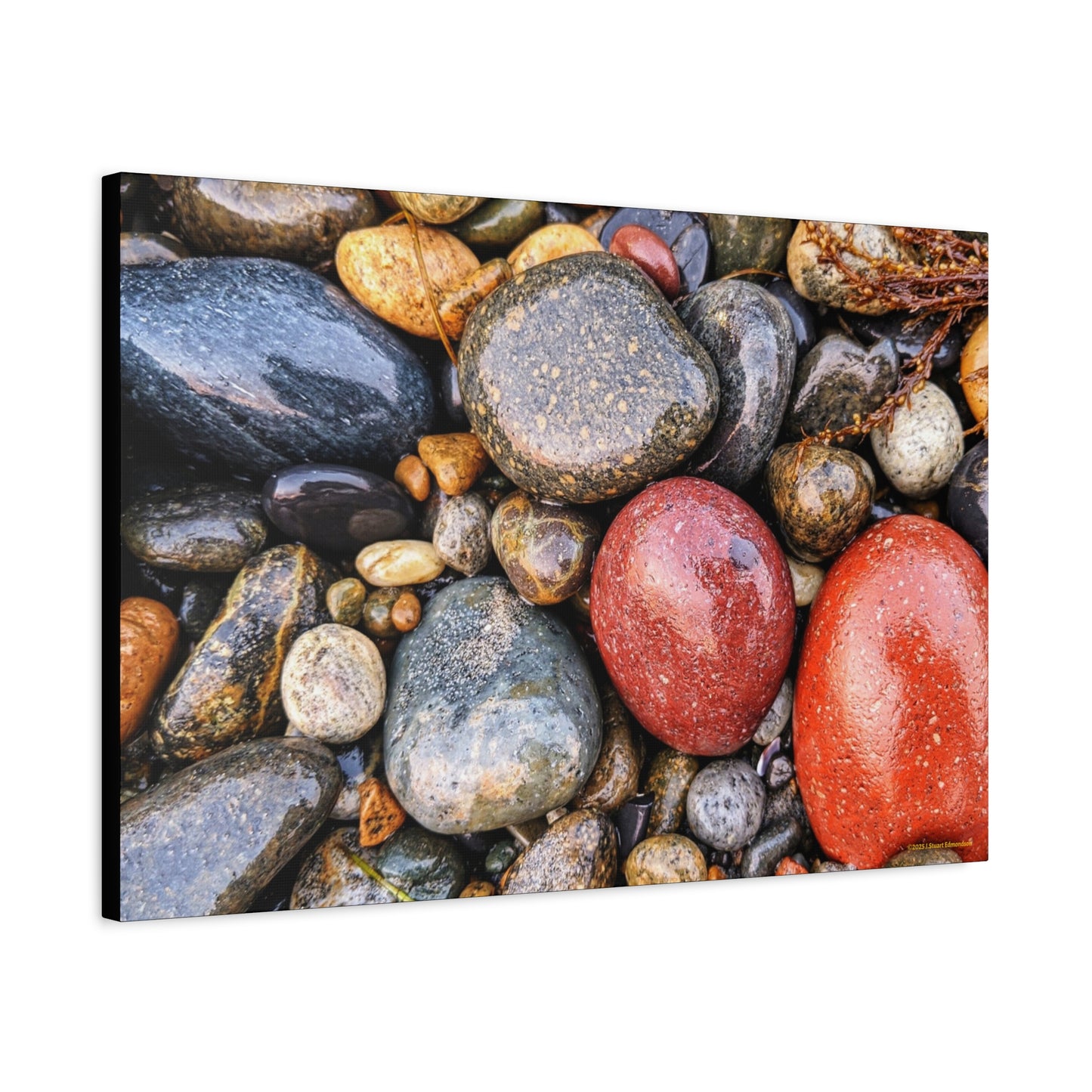 Swamis Vibe Encinitas California JSE Photograph - Beach Rocks Mix #426 Natural Stone Art Canvas, Home Decor, Wall Art, Gift for Nature Lovers, Rustic Aesthetic, Gallery Wrap Print