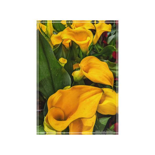 Swamis Vibe Surf and Sunsets Gallery Presents Colorful Flowers Calla Lillies 3D Photo Block Vibrant Floral Photo Block Print, Home Decor, Gift for Flower Lovers, Yellow Flower Display, Art Piece for Any Occasion