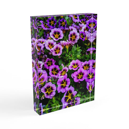 Swamis Vibe Surf and Sunsets Gallery Presents Colorful Flowers Calibrachoa 3D Photo Block Floral Photo Block Display, Purple Flower Wall Art, Home Decor, Gift for Garden Lovers