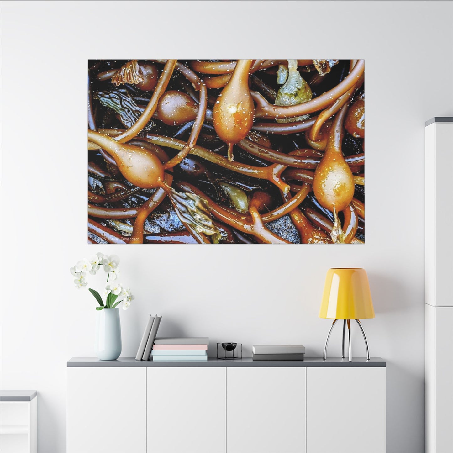 Swamis Vibe Encinitas California JSE Photograph #1244 Sea Kelp Nature Inspired Stretched Canvas Print, Ocean Decor, Wall Art for Beach Lovers, Coastal Home Decor, Unique Gift Idea